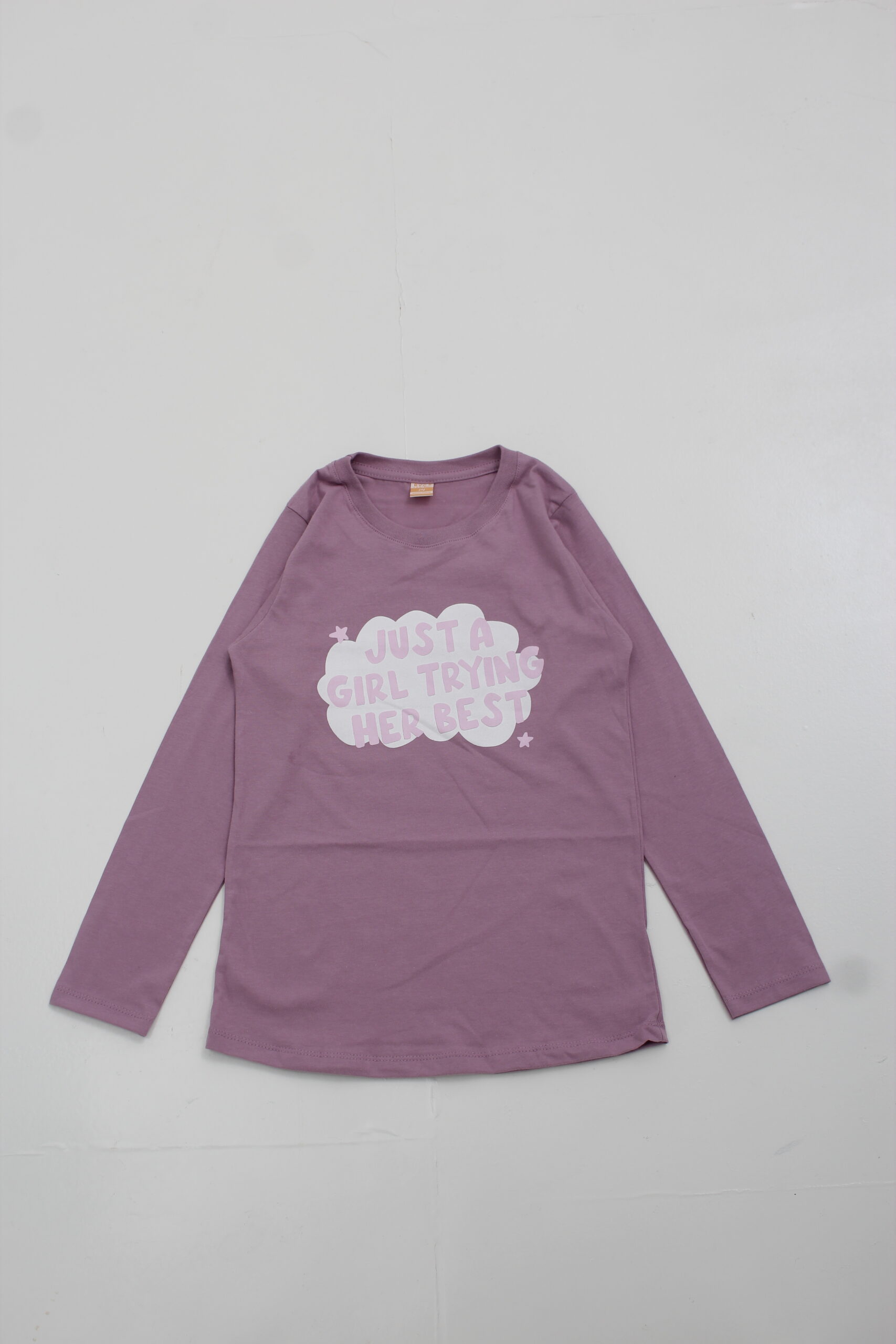 remeraMangaLargaTRYINGNena2